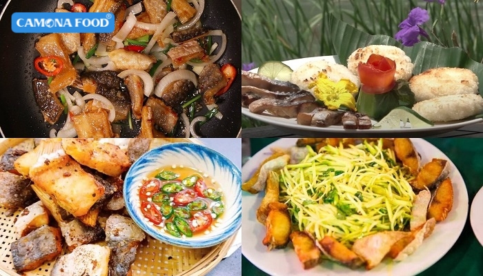 Các món ngon từ cá bông lau và cá dứa