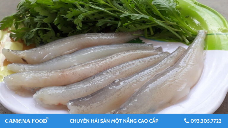 Cá khoai có tác dụng gì? Đặc điểm dinh dưỡng của cá khoai