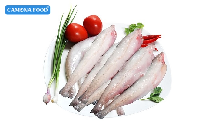 Cá khoai là gì? Đặc điểm của cá khoai