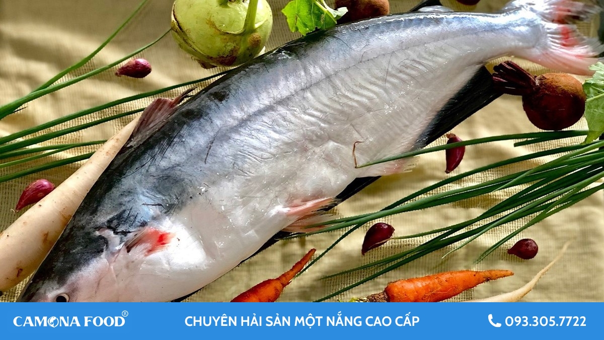 Cá dứa chứa bao nhiêu calo? Ăn nhiều có béo không?