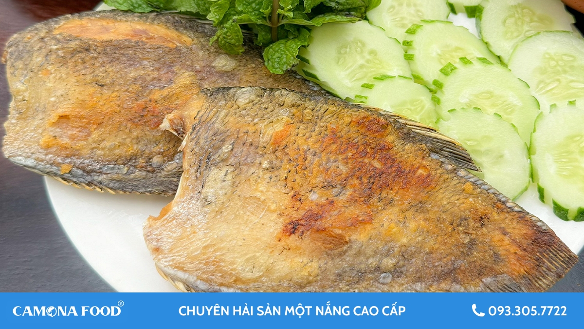 Tìm hiểu các loại cá một nắng ngon nhất tại Việt Nam