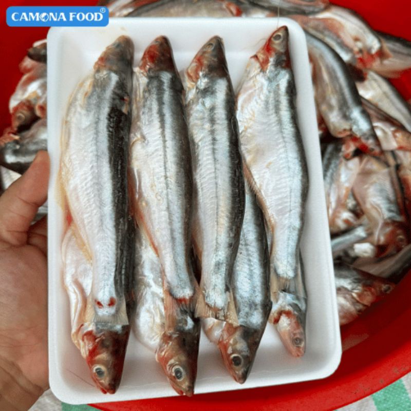 Bảo quản hải sản tươi