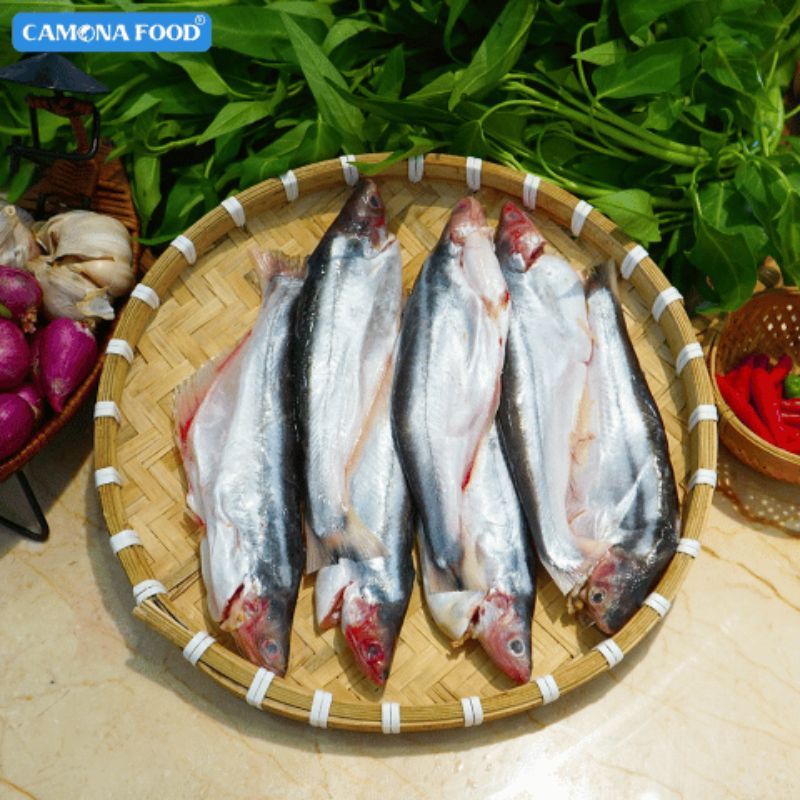 Cách chọn cá tươi ngon