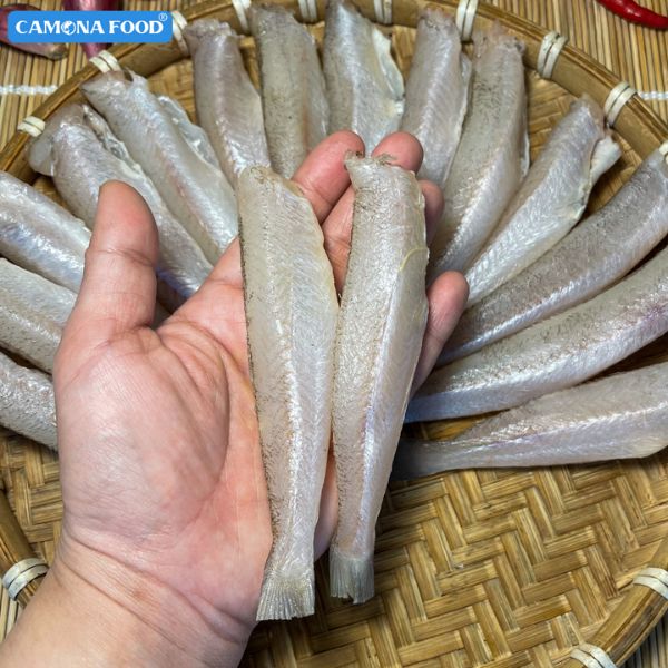 Cá bống 1 nắng