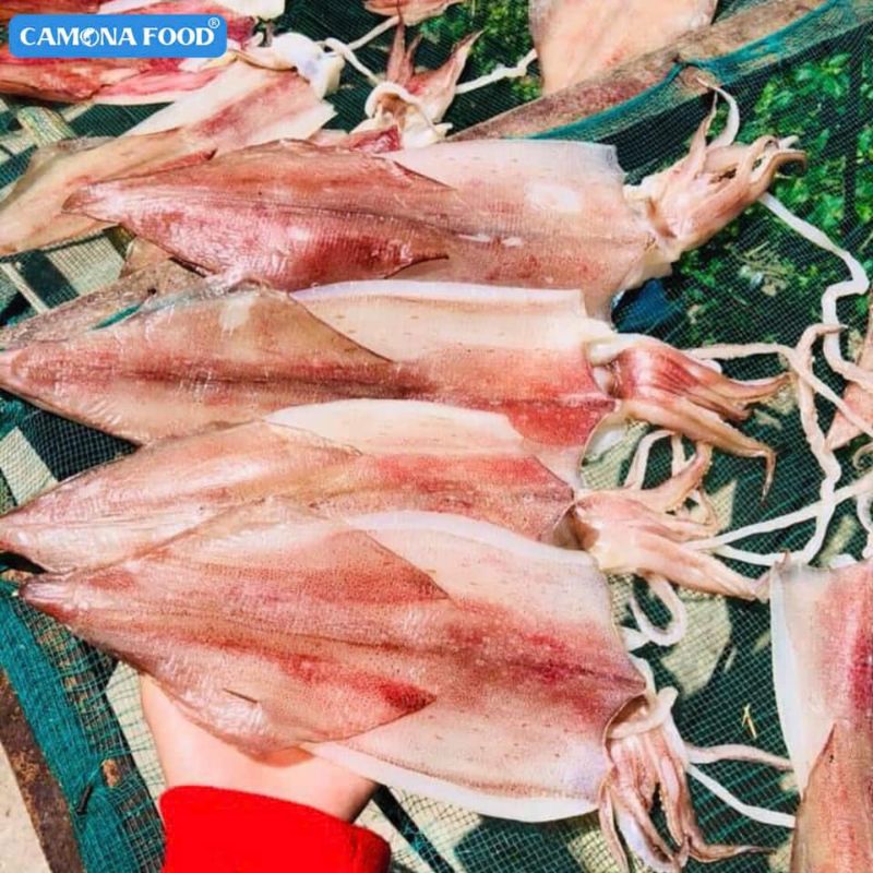 Mực 2 nắng