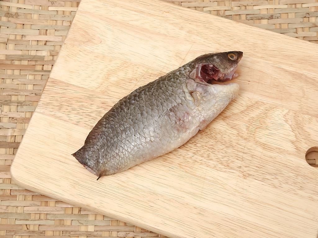 Cá rô đồng rất dễ nuôi