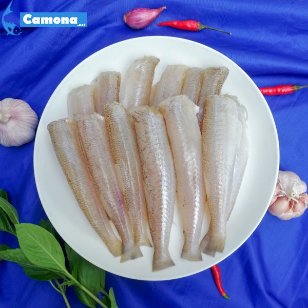 Cá Bống Đục 1 Nắng