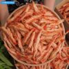 Khô Tôm Sú Nguyên Vỏ Thượng Hạng